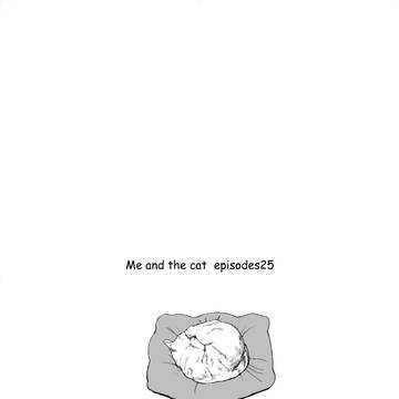 Me and the cat  episodes25