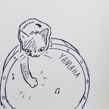 鼓面を叩いてみるねこ