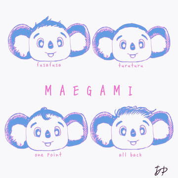 🐨前髪考察