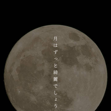 月はずっと綺麗でしょう