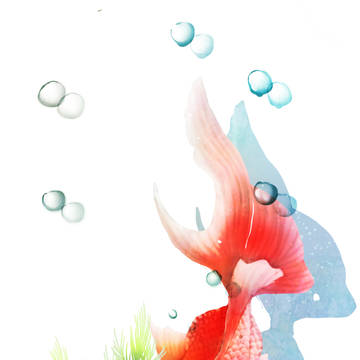 金魚