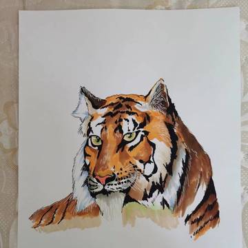 以前画的画