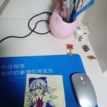 Someone Had draw a Cirno for me.