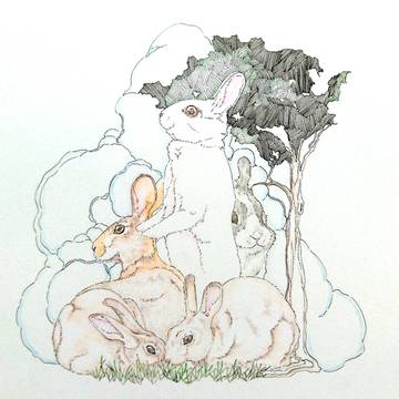 うさぎの家族