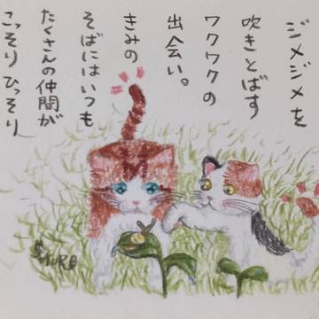 雨あがり