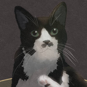 ネコさん