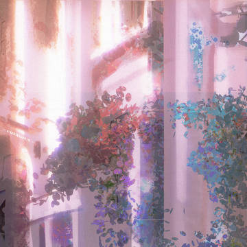 Walls