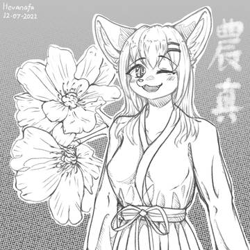 Nouma Wink