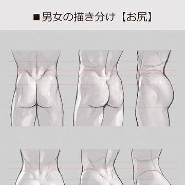 男女の描き分け【お尻】
