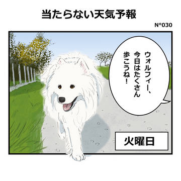 天気予報