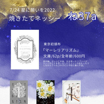 【星に願いを】お品書き【エレリ】