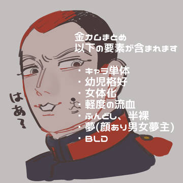 金カムツイログ１