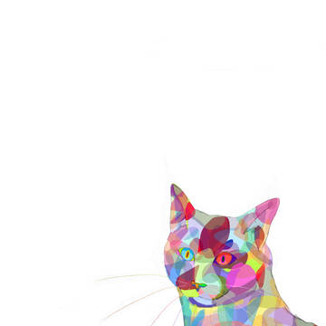 the cat