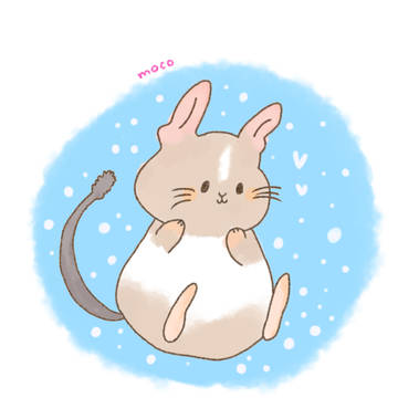 デグーのもこ