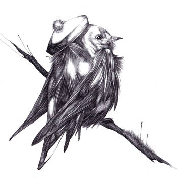 鳥 - その4 -