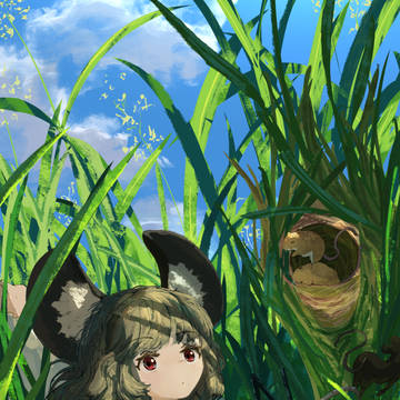 どうも