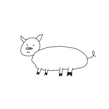 pig