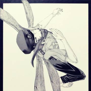 Fly