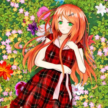 Flower Fields