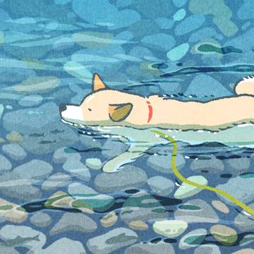 【日曜犬絵室】いぬ in the river
