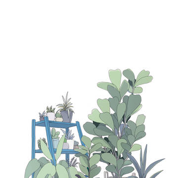 ネコ