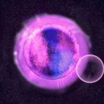 The planet
