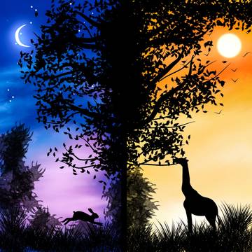 The tree of day and night
