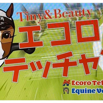 エコロテッチャン横断幕