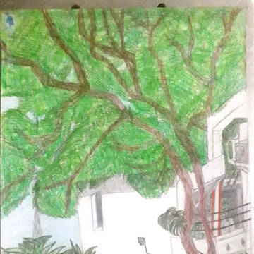 Intento Paisaje