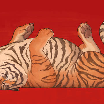 寝虎