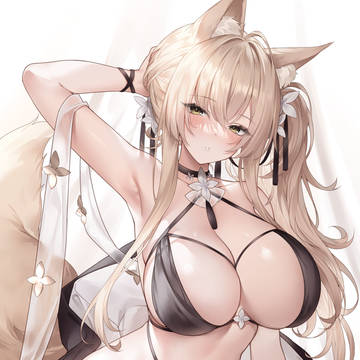 🦊🦊🦊