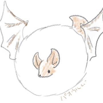 おひさしです