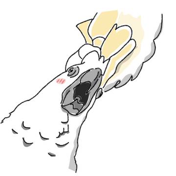 コバタン