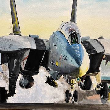 F14 tomcat （背景あり）