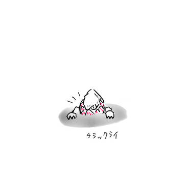 いろいろダークライ