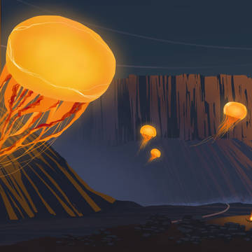 Jellyfish