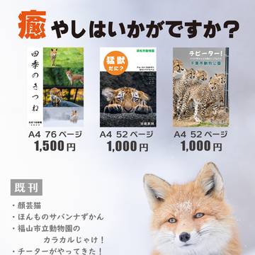 C100 お品書き 房総旅団 キツネ、トラ、チーターの写真集