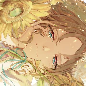 ひまわり