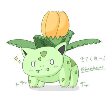 色フシギソウちゃん