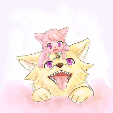 🐱🐶