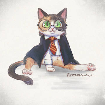 Internation Cat Day