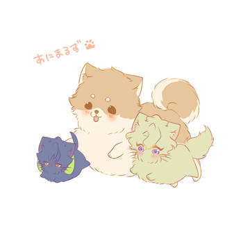 ねこ纏め5月〜