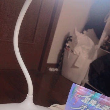 服反対だよ？