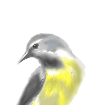 練習（鳥）
