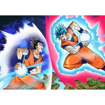 DRAGON BALL EPIC FIGHT