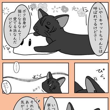 【00課陸】キャットちゃん【ﾈｺﾁｬﾝｯ!?】