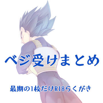 ベジ受けまとめ2