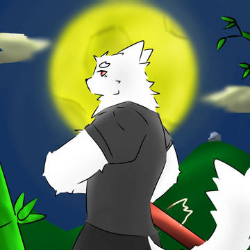 🌒🐺