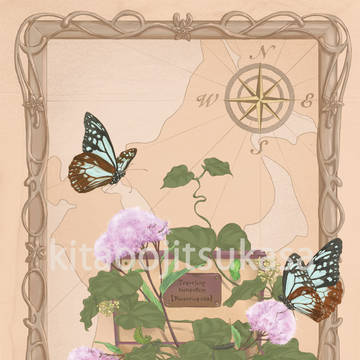 Traveling butterfly