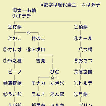 菓子山家の家系図